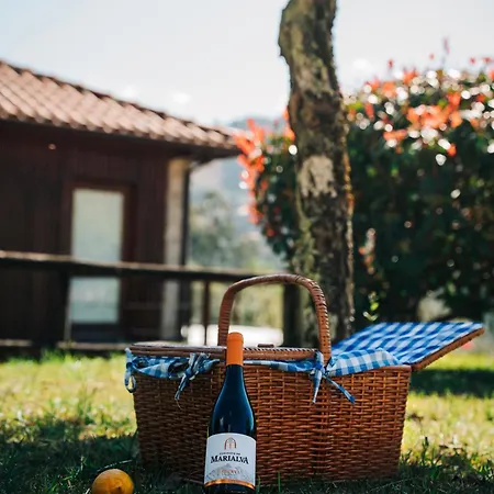 Vakantiehuis Do Agrinho - Geres Valdosende