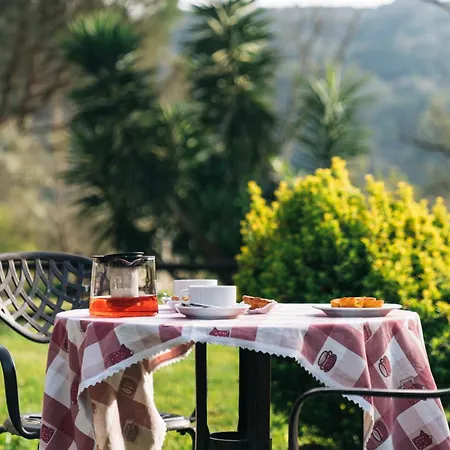Casa de Férias Do Agrinho - Gerês *