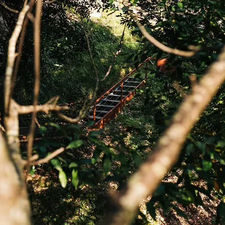 Casa de Férias Do Agrinho - Gerês Valdosende