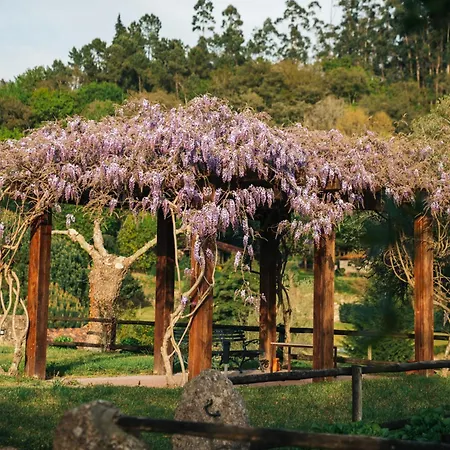Do Agrinho - Gerês Valdosende