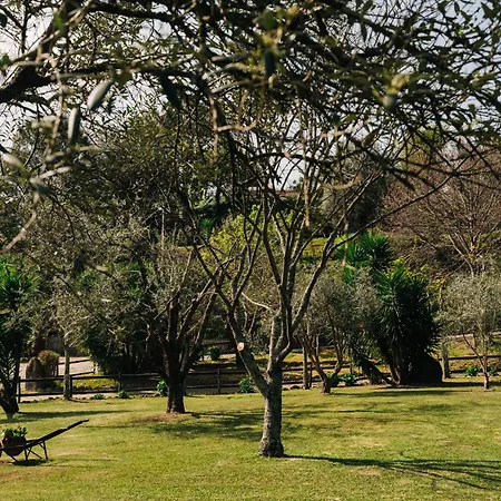 Vakantiehuis Do Agrinho - Geres Valdosende