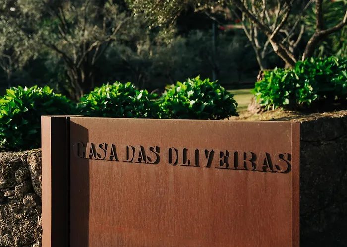 Do Agrinho - Tatil Evi *